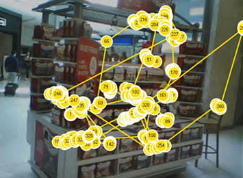 Eye tracking y scene camera